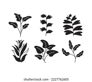 leaves and branch set vector illustration