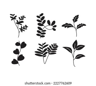 leaves and branch set vector illustration