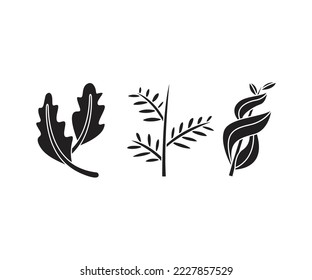 leaves and branch set vector illustration