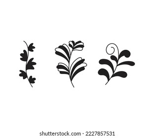 leaves and branch set vector illustration