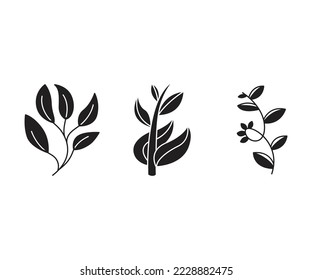 ilustración vectorial de conjuntos de hojas y ramas