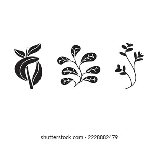 ilustración vectorial de conjuntos de hojas y ramas