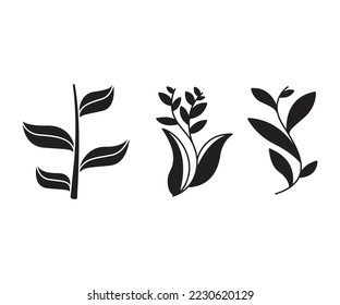 leaves and branch set vector illustration