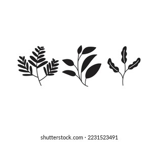 leaves and branch set vector illustration