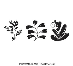 leaves and branch set vector illustration