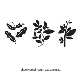 ilustración vectorial de conjuntos de hojas y ramas
