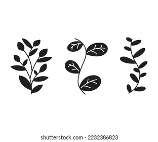 leaves and branch set vector illustration