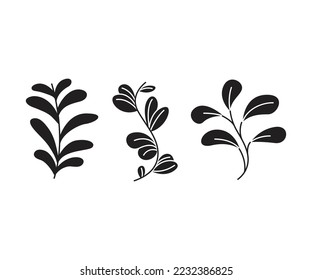 leaves and branch set vector illustration