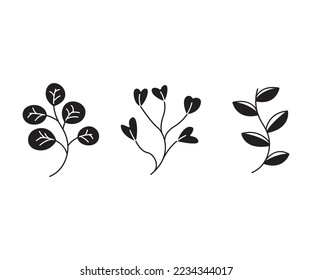 leaves and branch set vector illustration