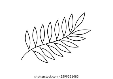 Leaves branch simple outline hand drawn illustration, floral sketch line art image, plant part doodle design element 