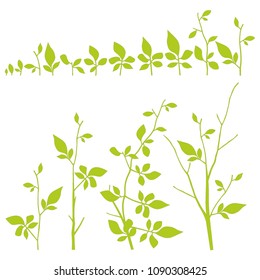 leaves branch tree