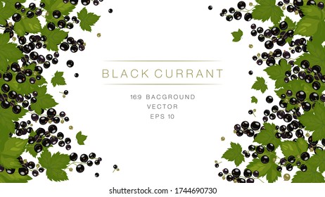 The leaves, branches and berries of black currant hang from top to bottom. Background frame for the design of cards, invitations and recipes for jam