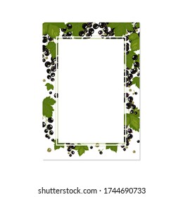 Las hojas, ramas y bayas de currant negro cuelgan de arriba a abajo. Marco de fondo para el diseño de tarjetas, invitaciones y recetas para mermelada