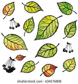Leaves and branches with berries on a white background. Seamless pattern. Background for packaging, wallpaper, textiles