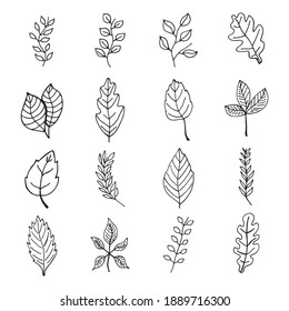 leaves and branches contour icons. vector sketch set