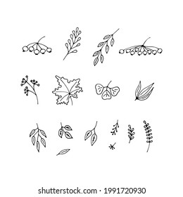 
leaves branches doodle vector objects set