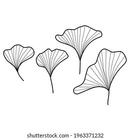 
leaves, branches of ginkgo biloba, simple doodle illustration, coloring, natural print