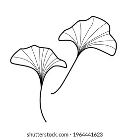 
leaves, branches of ginkgo biloba, simple doodle illustration, coloring, natural print