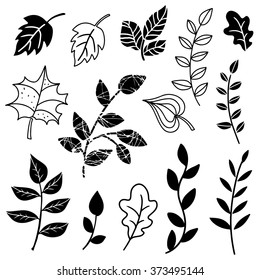 Leaves, branches hand drawn black set isolated
