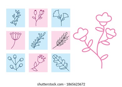 conjunto de iconos de hojas y ramas sobre fondo blanco, estilo de línea, ilustración vectorial
