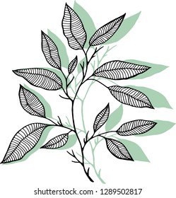 leaves and branches isolated vector background color green