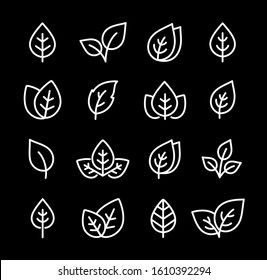 leaves and branches linear set icons on black background