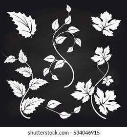 Leaves and branches on blackboard backgound vector illustration