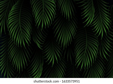 Leaves and branches of palm trees. Tropical leaf background. Branch palm realistic. Green foliage, tropic leaves pattern. vector illustration