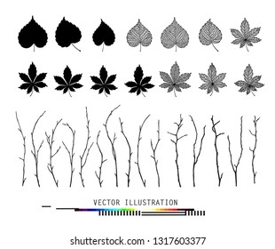 
Leaves and branches set collection Isolated realistic vector in black and white color botanical illustration Floral creator constructor for your design Linden, chestnut leaf objects