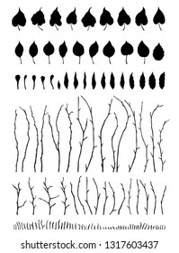 
Leaves and branches set collection Isolated realistic vector in black and white color botanical illustration Floral creator constructor for your design