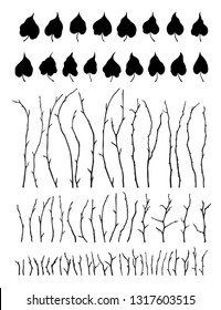 
Leaves and branches set collection Isolated realistic vector in black and white color botanical illustration Floral creator constructor for your design