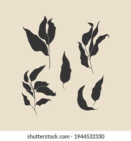 Hojas y ramas establecidas. Elementos decorativos dibujados a mano. Ilustración del vector 