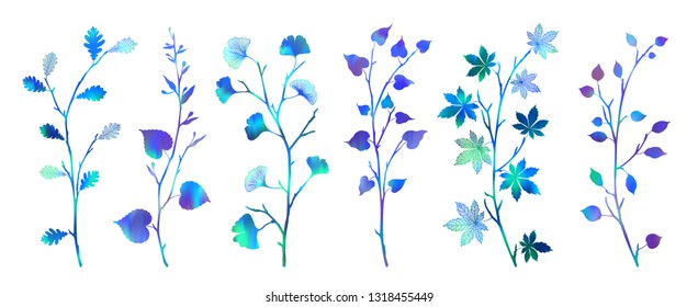 Leaves and branches set isolated objects Big bright vivid elegant collection in neon gradient holographic colors natural tree floral elements Vector silhouette ginkgo biloba oak laurel eucalyptus