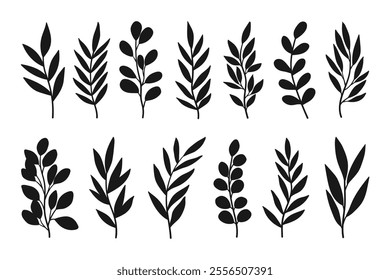 Leaves and branches silhouettes set. Wild plants and garden leaves silhouettes on white background