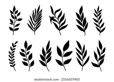 Leaves and branches silhouettes set. Wild plants and garden leaves silhouettes on white background