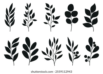 Leaves and branches silhouettes set. Wild plants and garden leaves silhouettes on white background