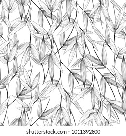 Bamboo Texture Drawing High Res Stock Images Shutterstock