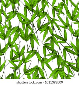  leaves branches stem bamboo pattern flowers texture frame seamless sketch vector graphics color picture