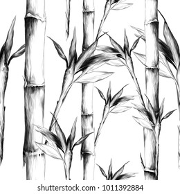 Leaves Branches Stem Bamboo Pattern Flowers Texture Frame Seamless Sketch Vector Graphics Monochrome Black-and-white Drawing