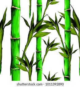  leaves branches stem bamboo pattern flowers texture frame seamless sketch vector graphics color picture