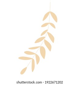 Hojas y ramas - Planta dibujada a mano por vectores. Ilustración botánica. Diseño de plantilla para vela, fecha de ahorro de boda, sobre, valentina, para fiesta, decoración de vacaciones.