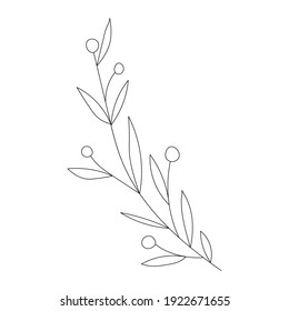 Leaves and branches - Vector hand drawn plants. Botanical illustration. Template design for sail, wedding save date, envelope, valentine, for party, holiday decor.