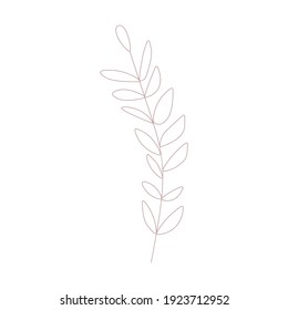 Leaves and branches - Vector hand drawn plants. Botanical illustration. Template design for sail, wedding save date, envelope, valentine, for party, holiday decor.