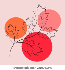 Vector de hojas y ramas para tu arte de pared y decoración