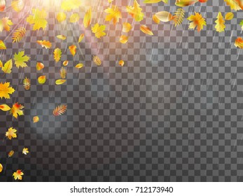 Leaves and bright sunlight. Autumn concept template with copy space for your text. And also includes EPS 10 vector