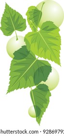 Leaves with bubbles isolated on the white. Vector