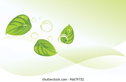 Leaves and bubbles on the abstract background. Vector