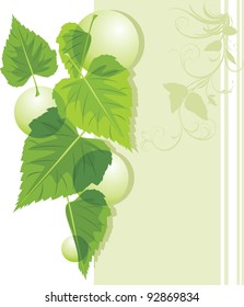 Leaves with bubbles on the decorative border. Vector