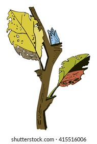 Leaves and a Bud on a tree branch. Drawings , sketch.