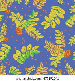 Leaves and bunches of berries of a Rowan on a background of blue sky.Seamless pattern of leaves and ripe berries of mountain ash. Use for the decoration of Wallpaper, fabrics, postcards, glassware.